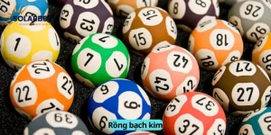 rồng bạch kim