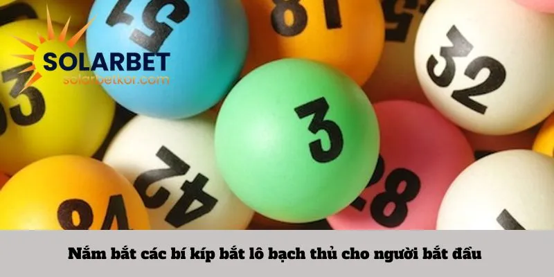 Nắm bắt các bí kíp bắt lô bạch thủ cho người bắt đầu 